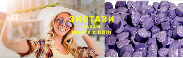 гидра Гусиноозёрск