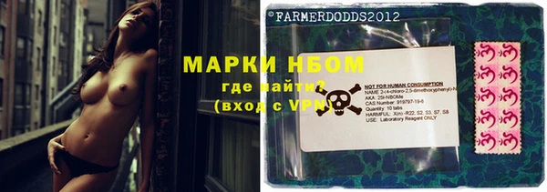 гидра Гусиноозёрск