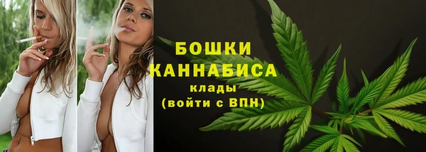 дмт Гусь-Хрустальный
