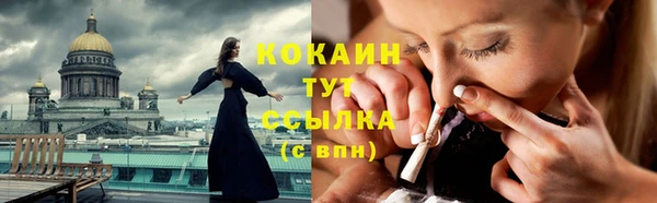 дмт Гусь-Хрустальный