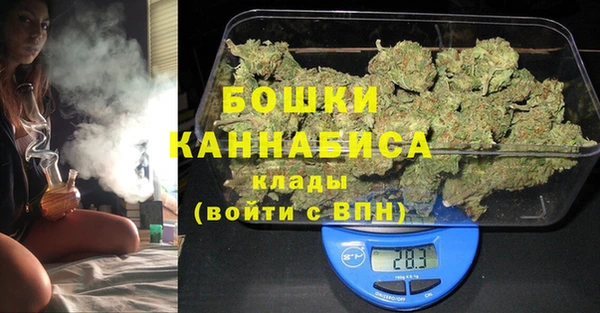 гидра Гусиноозёрск