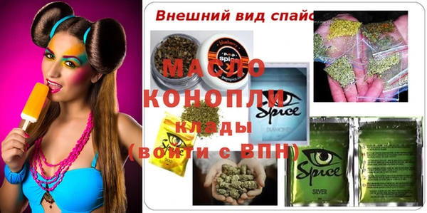 гидра Гусиноозёрск