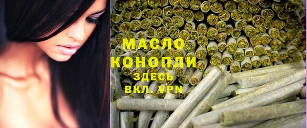 гидра Гусиноозёрск