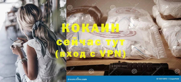гидра Гусиноозёрск