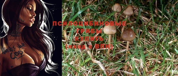 гидра Гусиноозёрск