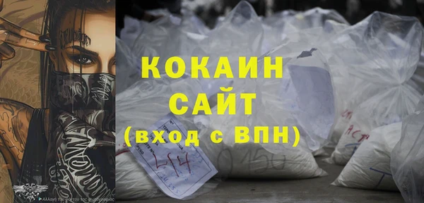 гидра Гусиноозёрск