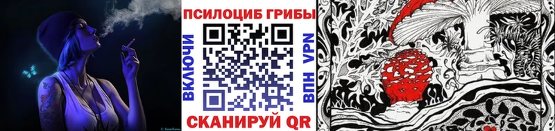 площадка Telegram  Северск  Псилоцибиновые грибы Psilocybe  блэк спрут ССЫЛКА 